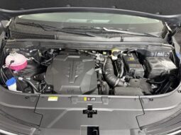
										Kia Carnival full									
