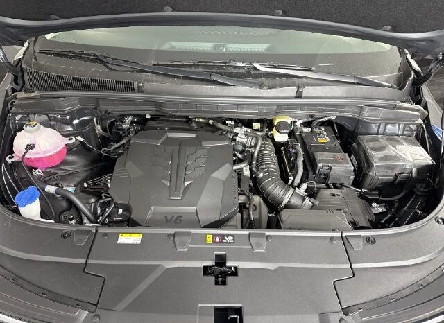 
								Kia Carnival full									