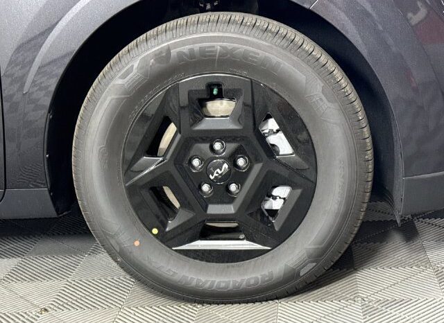 
								Kia Carnival full									
