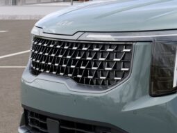 Kia Carnival full