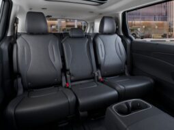 Kia Carnival full