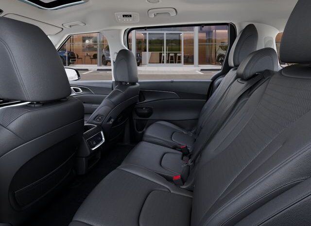 
 Kia Carnival full									