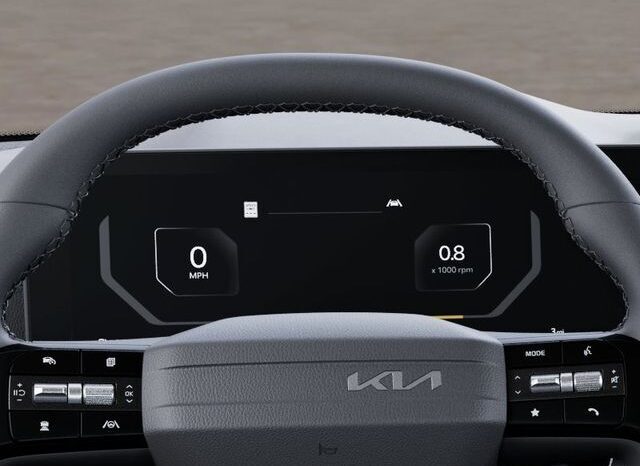 
 Kia Carnival full									