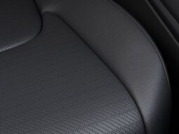 Kia Carnival full