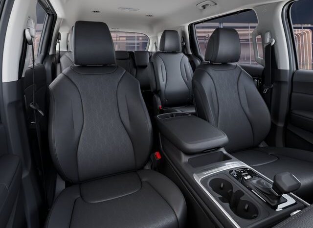 
 Kia Carnival full									