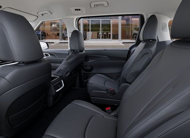 
 Kia Carnival full									