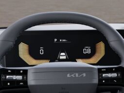 
 Kia Carnival full									