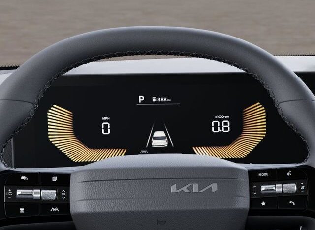 
 Kia Carnival full									