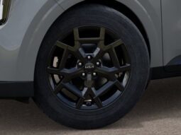 
 Kia Carnival full									