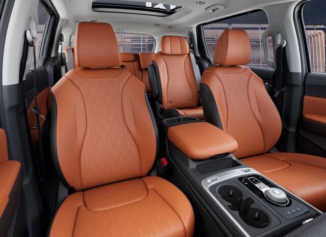 
 Kia Carnival Hybrid full									