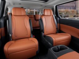 
 Kia Carnival Hybrid full									