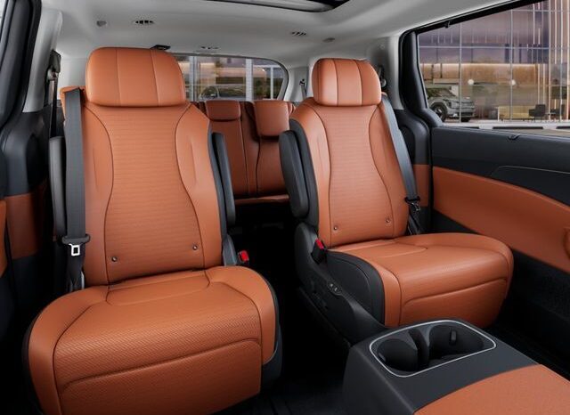 
 Kia Carnival Hybrid full									