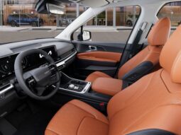 
 Kia Carnival Hybrid full									