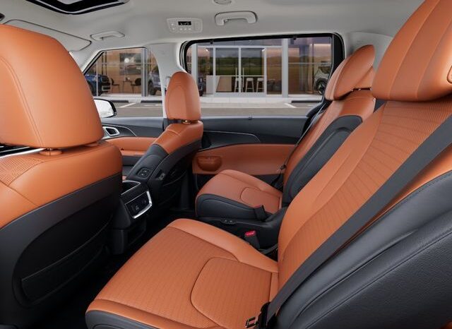 
 Kia Carnival Hybrid full									