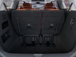 
 Kia Carnival Hybrid full									