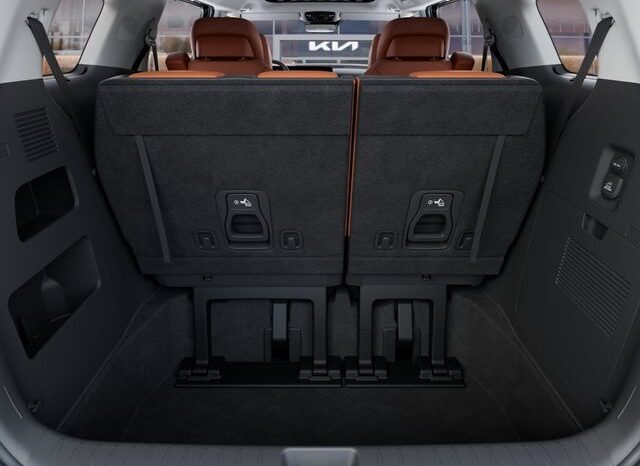 
 Kia Carnival Hybrid full									