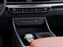 
 Kia Carnival Hybrid full									