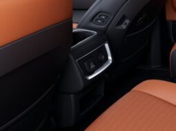 
 Kia Carnival Hybrid full									