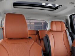
 Kia Carnival Hybrid full									