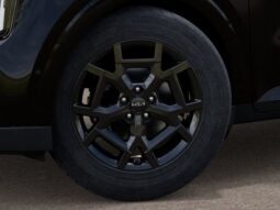 
 Kia Carnival Hybrid full									