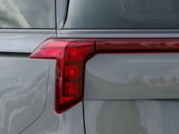 
 Kia Carnival full									
