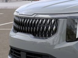 
 Kia Carnival full									
