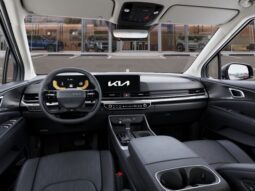 
 Kia Carnival full									