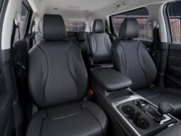 
 Kia Carnival full									