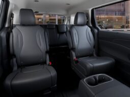 
 Kia Carnival full									