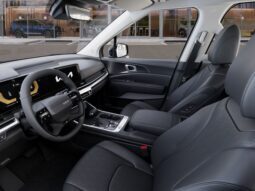 
 Kia Carnival full									