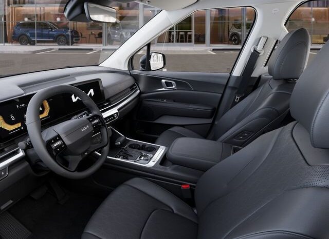 
 Kia Carnival full									