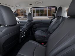 
 Kia Carnival full									