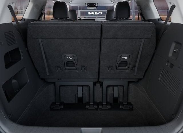 
 Kia Carnival full									
