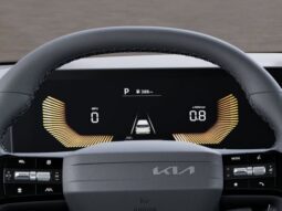 
 Kia Carnival full									