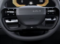 
 Kia Carnival full									