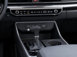 
 Kia Carnival full									