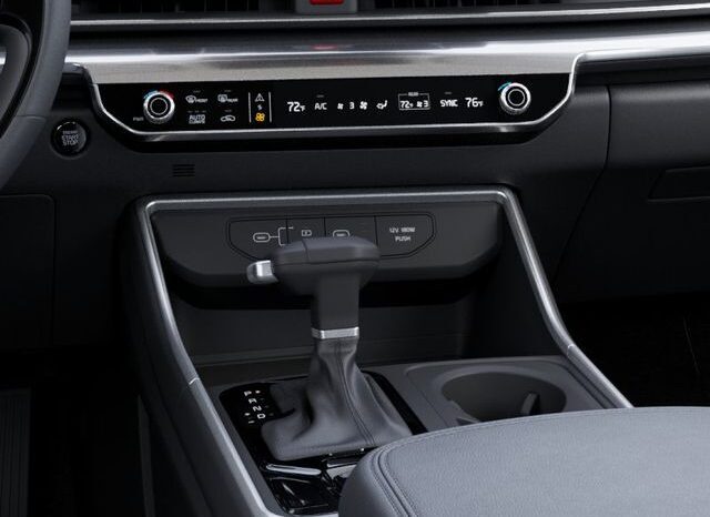 
 Kia Carnival full									