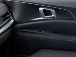 
 Kia Carnival full									