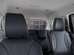 
 Kia Carnival full									