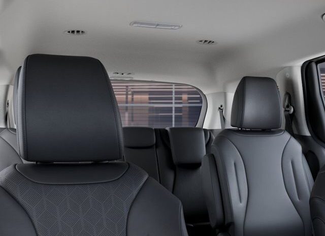 
 Kia Carnival full									