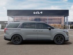 
 Kia Carnival full									
