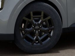 
 Kia Carnival full									