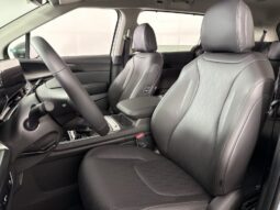 
										Kia Carnival full									