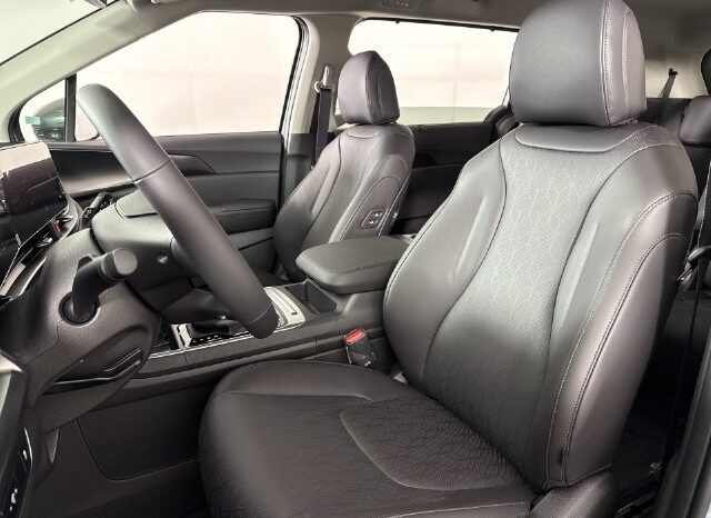 
								Kia Carnival full									