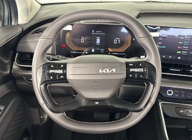 
								Kia Carnival full									