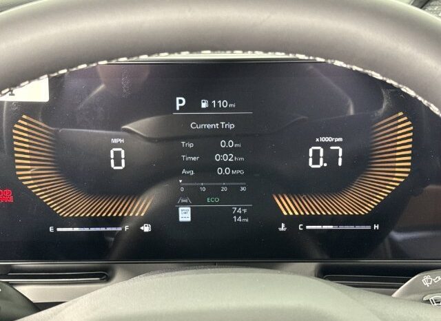 
								Kia Carnival full									