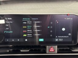 
										Kia Carnival full									
