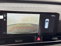 
										Kia Carnival full									
