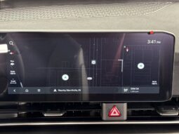 
										Kia Carnival full									
