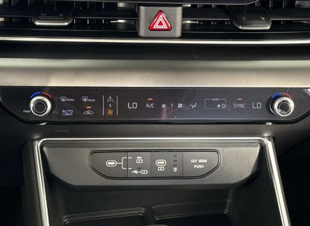 
								Kia Carnival full									